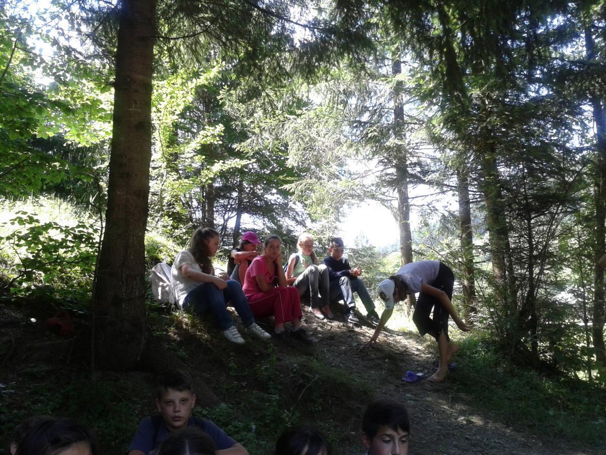 RECREERE ÎN PELERINAJ
